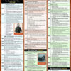 American History 2